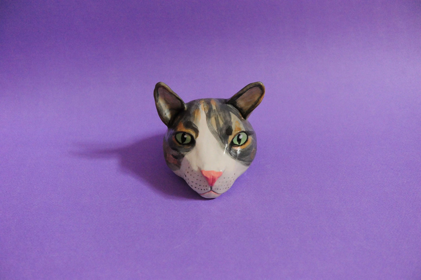 The portrait of your ceramic cat