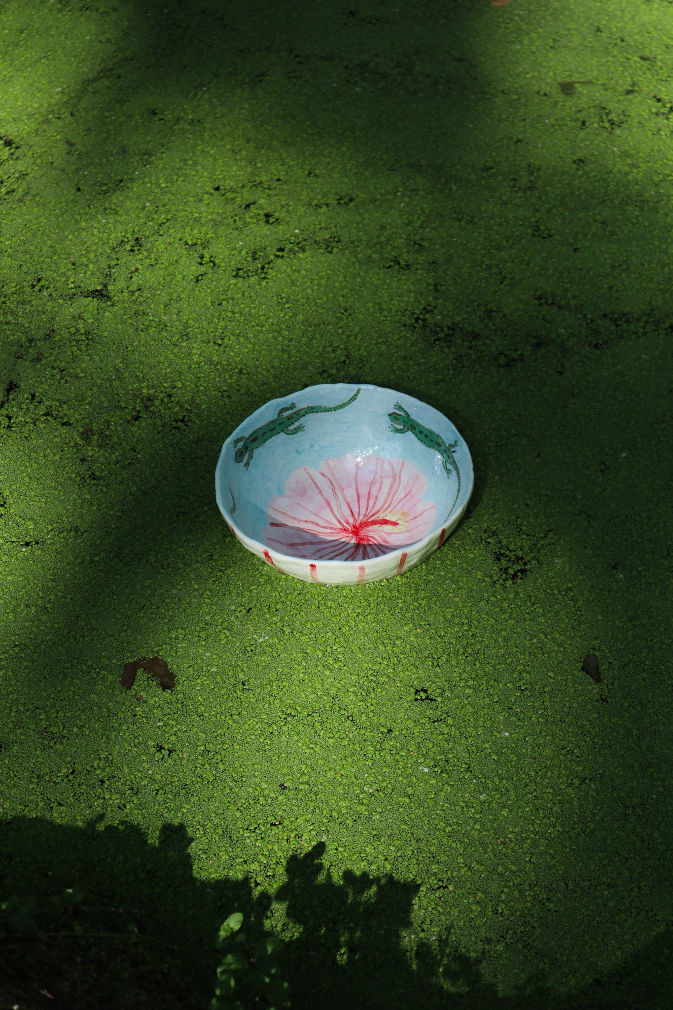 saladier hibiscus et lézards