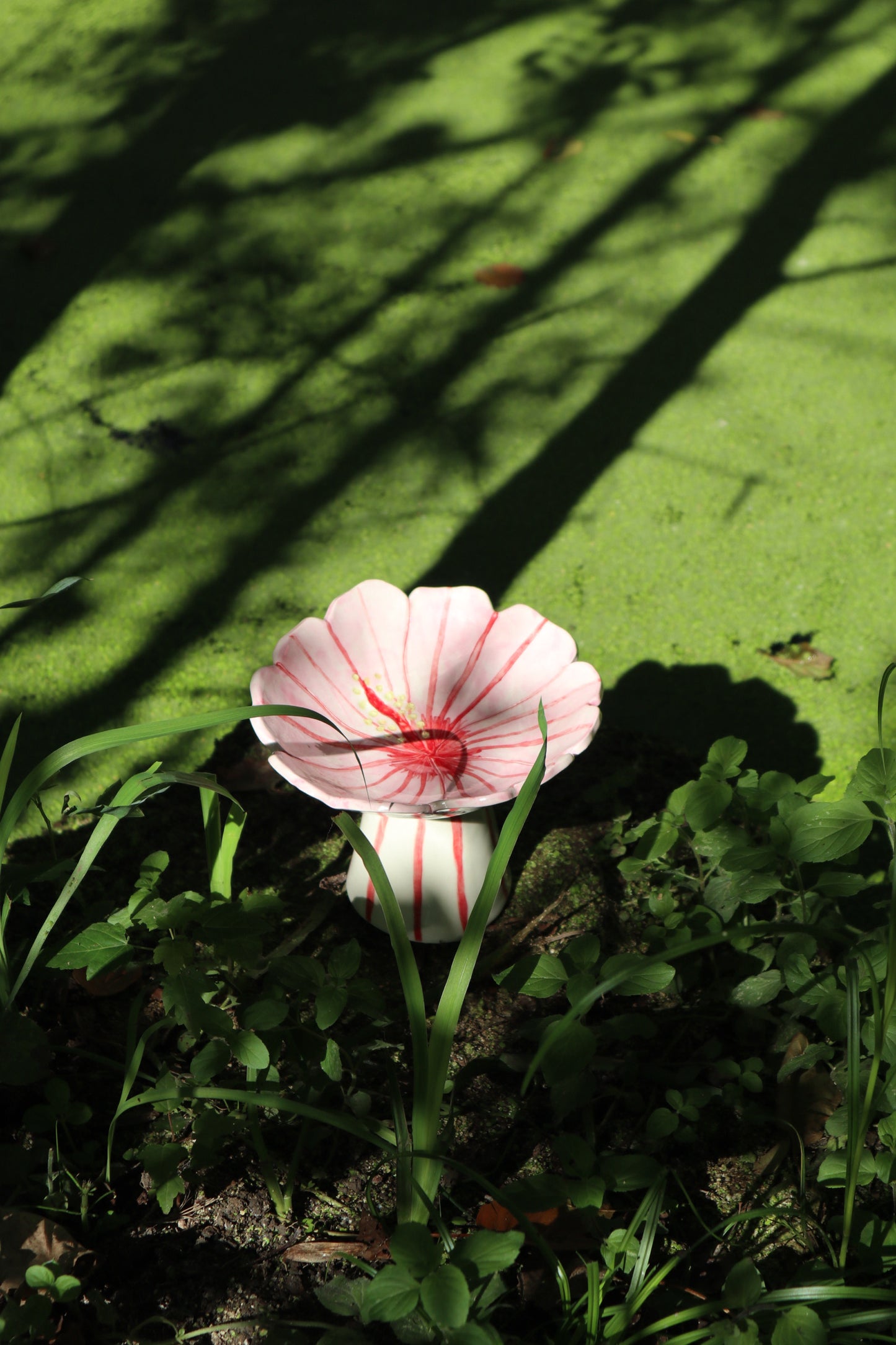 Coupe hibiscus