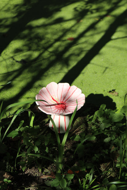 Coupe hibiscus